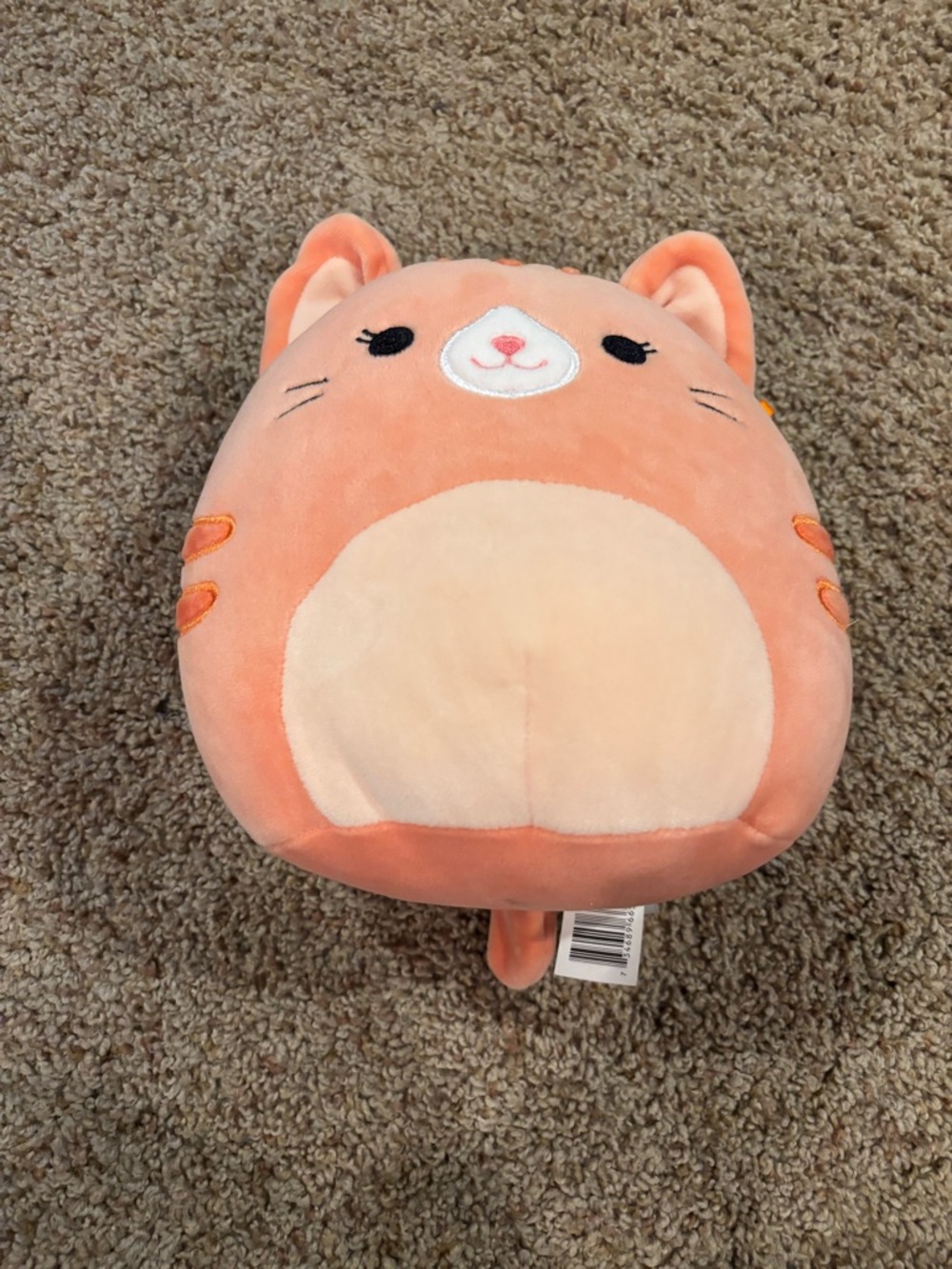 7 in Coral Kitty Squishmallow
